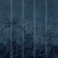 303499 (2,65M X 2,65M)